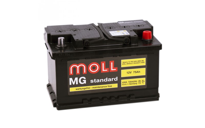 6ст-75 MOLL MG Standard SR низ