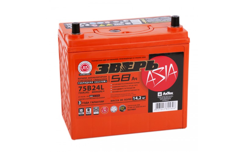 ЗВЕРЬ Asia 58А/Ч о.п.