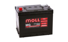 MOLL MG Standart  Asia 75А/ч п.п. 