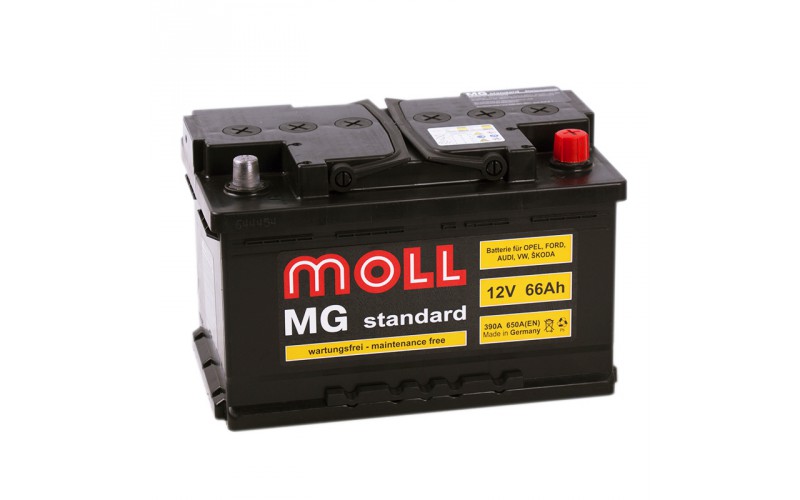 MOLL MG Standart Asia 66А/ч о.п. 