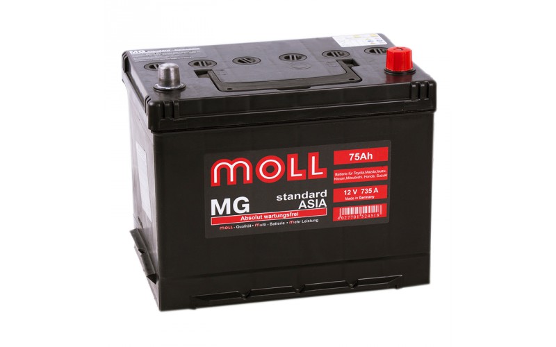 MOLL MG Standart Asia 75А/ч о.п. 