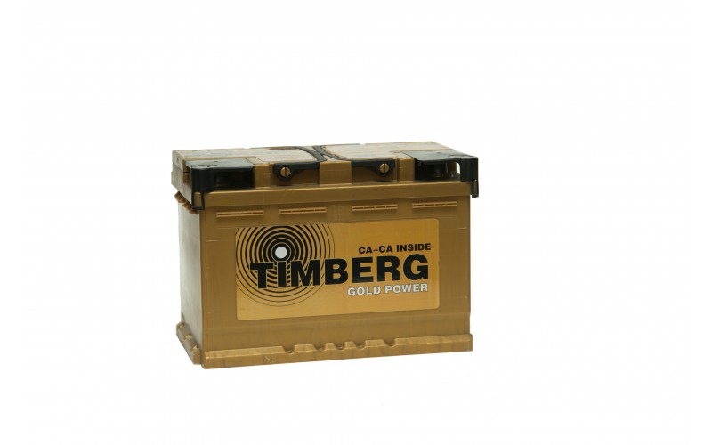 6ст-65 TIMBERG Gold P низ
