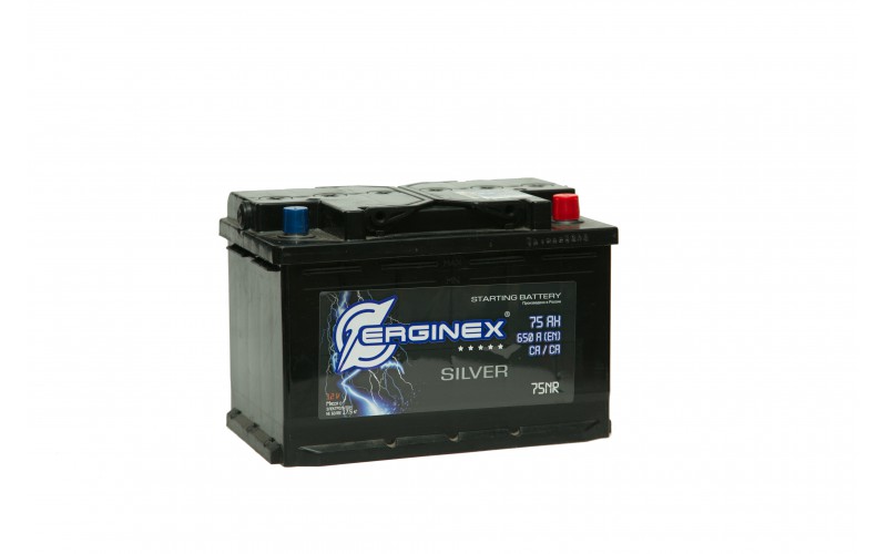 ERGINEX 75А/ч о.п.