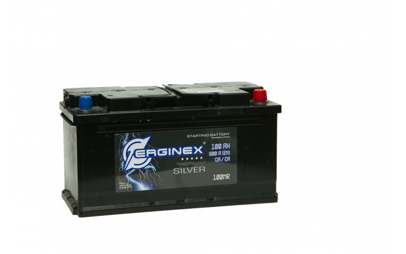 6ст-100 ERGINEX