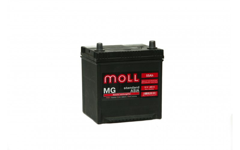MOLL MG Standart  Asia 55А/ч о.п.