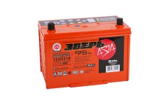 ЗВЕРЬ Asia 95А/Ч п.п.